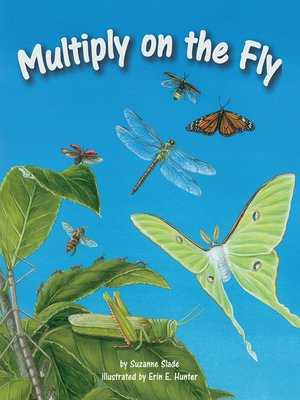 cover image of Multiply on the Fly